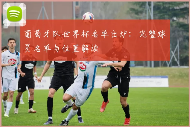 葡萄牙队世界杯名单出炉:完整球员名单与位置解读